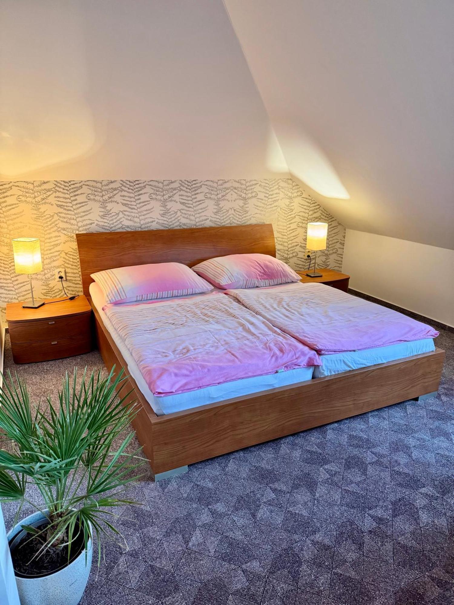 Ji Apartment Modřice エクステリア 写真
